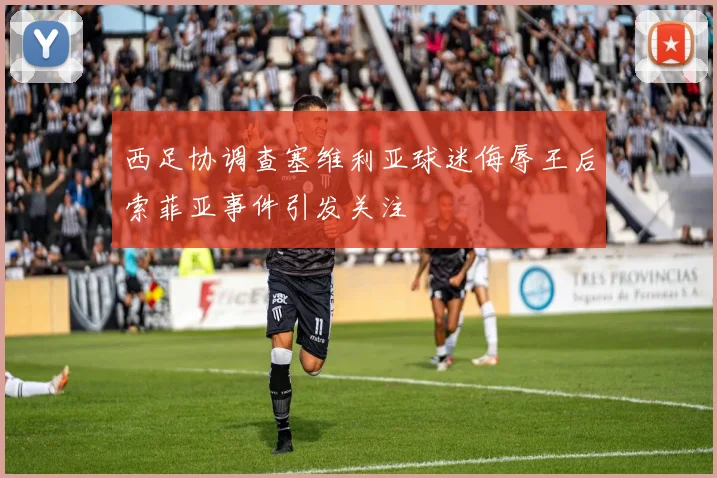 西足协调查塞维利亚球迷侮辱王后索菲亚事件引发关注