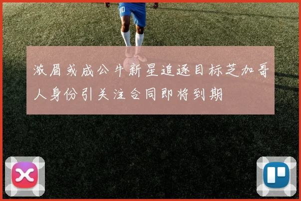 浓眉或成公牛新星追逐目标芝加哥人身份引关注合同即将到期